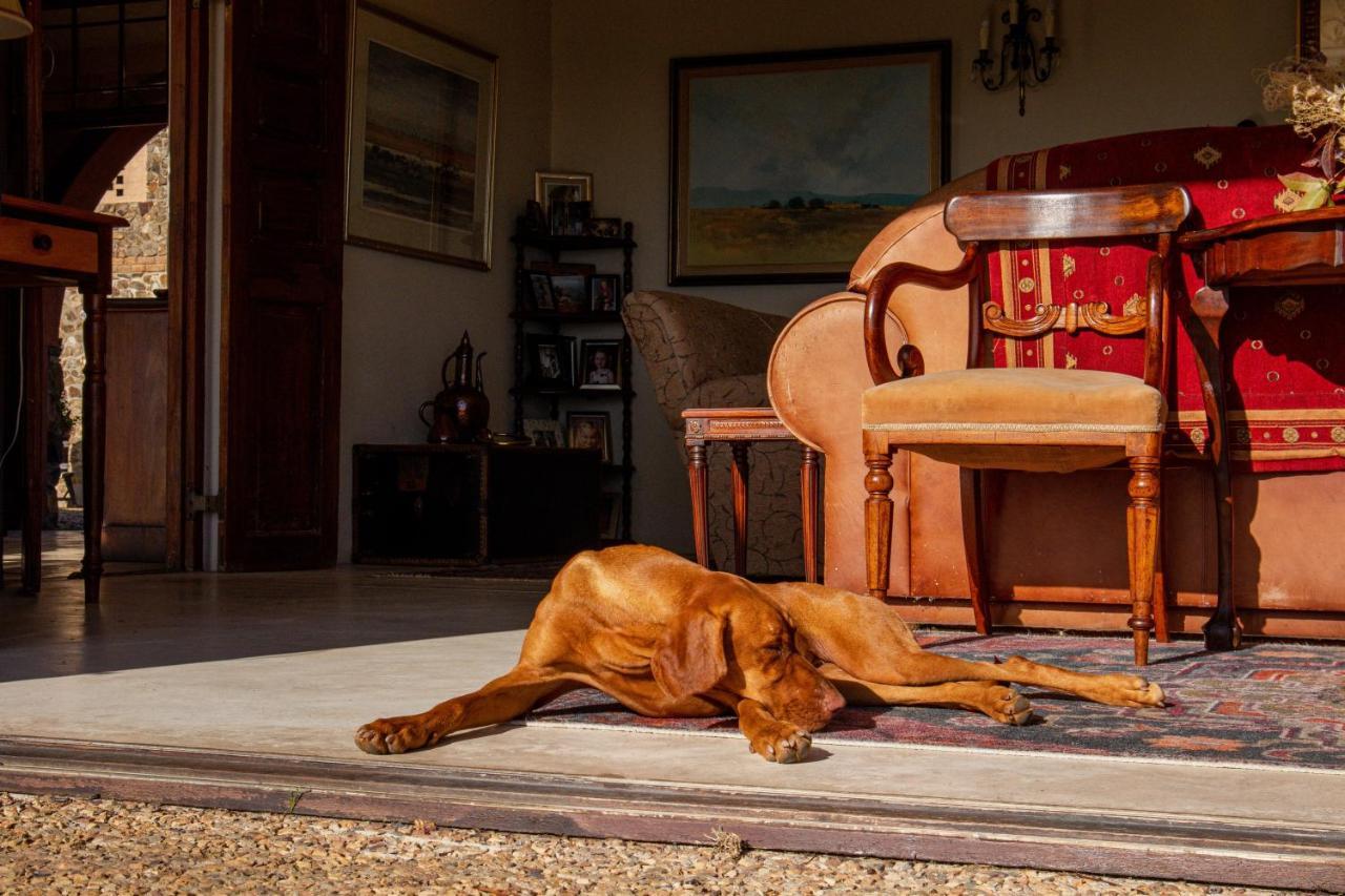 Casa Mori House Panzió Stellenbosch Kültér fotó